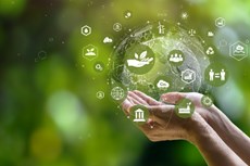 From mine to road: Transforming mining waste rock into durable construction materials for sustainable infrastructure