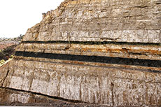 Anglo reports declines in Australian coal production