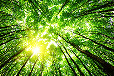 Teck Resources announces expanded net-zero climate strategy